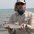 Roques 2011 - bone