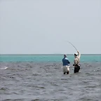 Roques 2011 - Pelea4