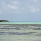 Roques 2011 - Flat