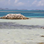 Roques 2011 - Los roques