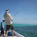 Roques 2011 - Pelea