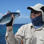 Roques 2011 - falsealbacore2