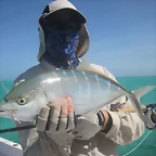 Roques 2011 - bluerunner