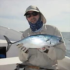 Roques 2011 - falsealbacore