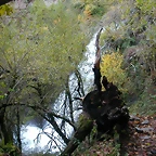 DSCN6140