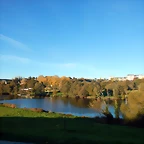 DSCN8949