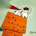Snoopy may day,may day