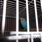 CIMG0411