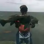 negra 10kg laguna de marchi