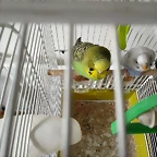 IMG_20200415_155050
