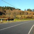 DSCN6665