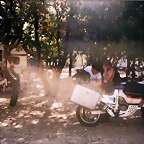 LastScan.jpgv