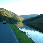 DSCN6487