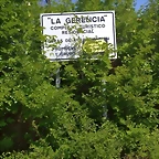 IMG_20220805_114637_1