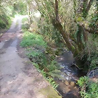 DSCN6112