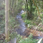 DSCN6111