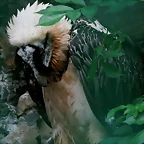 Zoo Praga 21-06-11 239