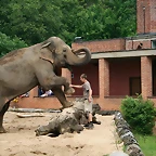 Zoo Praga 21-06-11 671