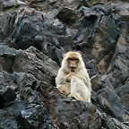 Zoo Praga 21-06-11 262