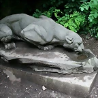 Zoo Praga 21-06-11 745