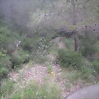 Chilches 015