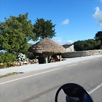 DSCN4106