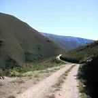 DSCF2690