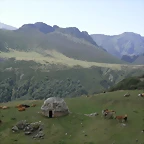 R0011050