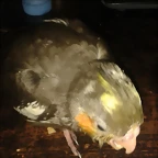 20150226_201214