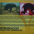 Zoo de Barcelona 20-04-11 176