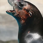 Zoo de Barcelona 20-04-11 124