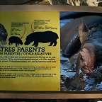Zoo de Barcelona 20-04-11 164