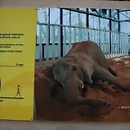 Zoo de Barcelona 20-04-11 179
