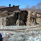 DSCN7950