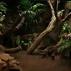 Zoo de Barcelona 27-03-11 518