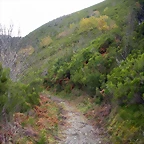 DSCN0636
