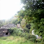 DSCN8392