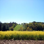 DSCN4533