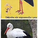 Cigonya_Zoo_Barcelona_19-02-12