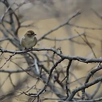 Zoo de Barcelona 19-02-12 260