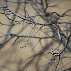 Zoo de Barcelona 19-02-12 269