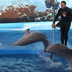 Zoo de Barcelona 19-02-12 452