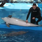 Zoo de Barcelona 19-02-12 458