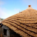 DSCN4771