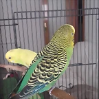 20170616_120628