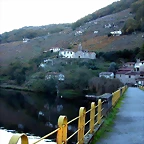 DSCN6484