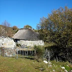 DSCN6900