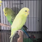 20170616_120438