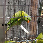 IMG_20170122_121111