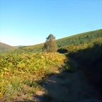 DSCN7715